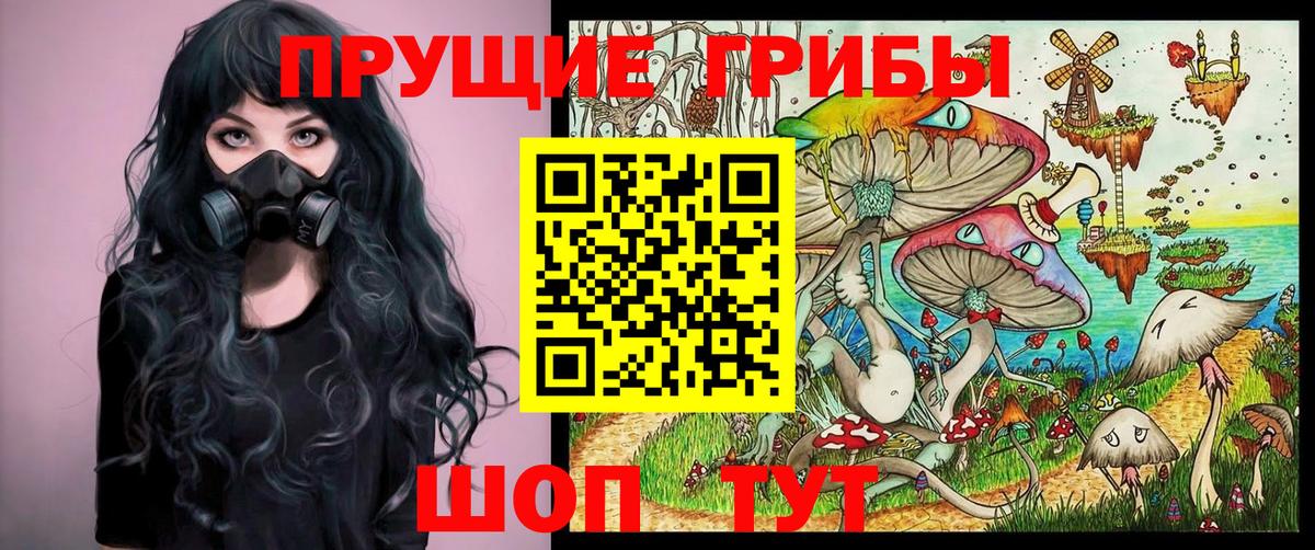 Благодарный  Галлюциногенные грибы Psilocybe  Псилоцибиновые грибы Psilocybe  Вход с VPN 
