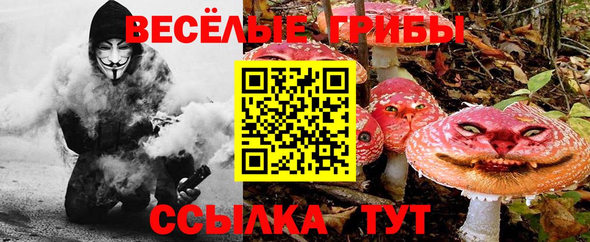 Галлюциногенные грибы Psilocybe Благодарный